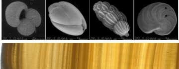 Research-proxy carriers Research-proxy carriers